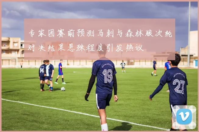 专家团赛前预测马刺与森林狼次轮对决结果悬殊程度引发热议