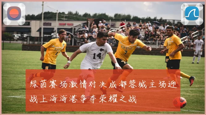 绿茵赛场激情对决成都蓉城主场迎战上海海港争夺荣耀之战