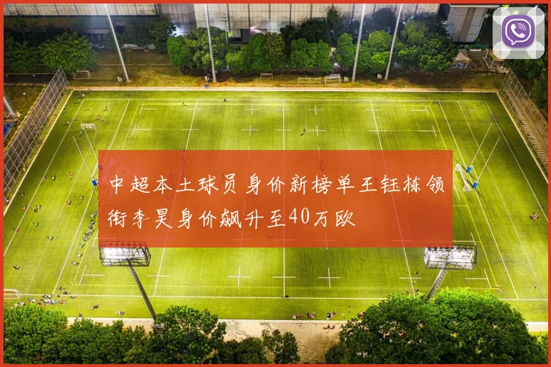中超本土球员身价新榜单王钰栋领衔李昊身价飙升至40万欧